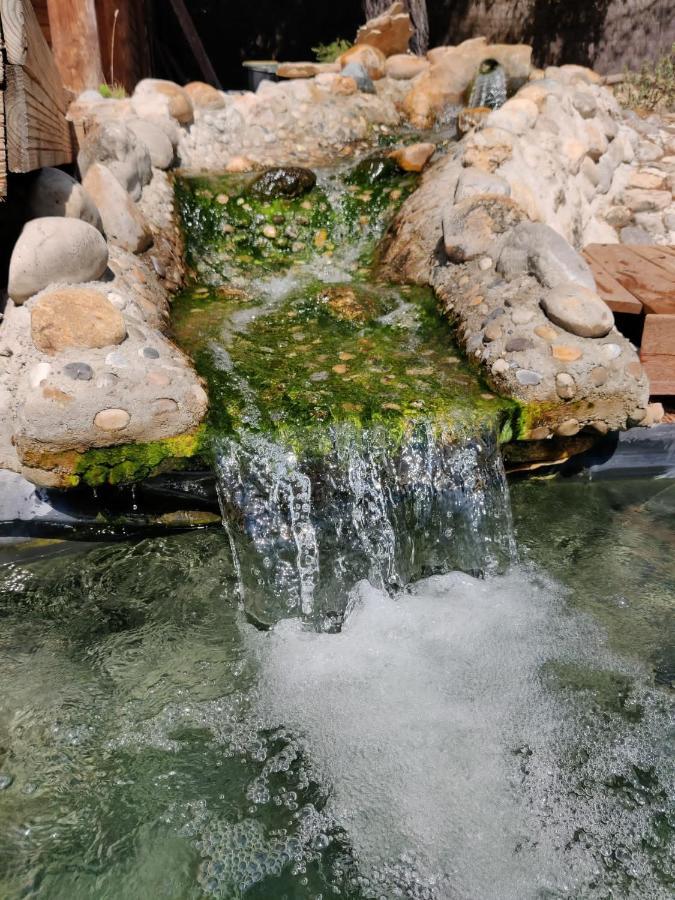 Apartmán L'Etang Des Cigales Uchaux Exteriér fotografie