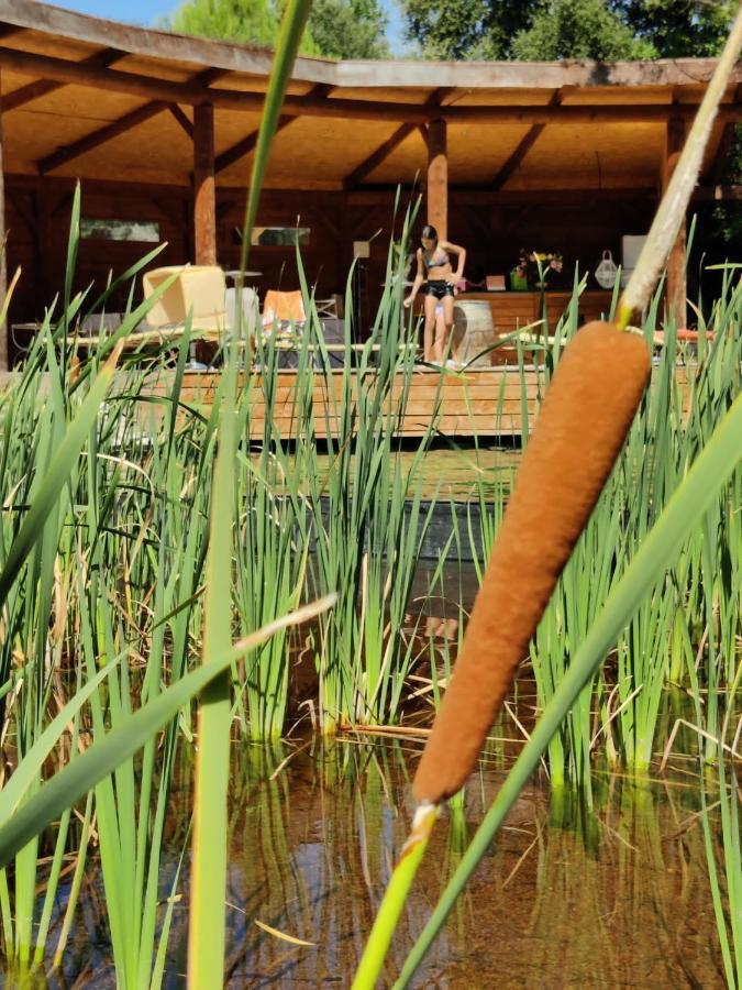 Apartmán L'Etang Des Cigales Uchaux Exteriér fotografie